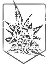 Lemon Razz Toronto-1